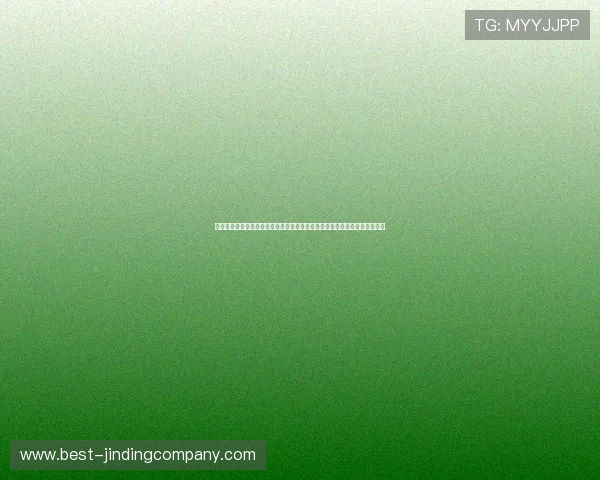 开云真人版全站登录开启世界杯主题报道新篇章满足用户多样化体育资讯需求